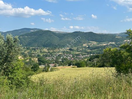 Kocaeli Karamürsel Yalakdere Satılık 3.754 M2 Tarla