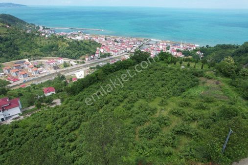 Çarşıbaşı Büyükdere'de Deniz Ve Doğa Manzaralı Satılık Arsa