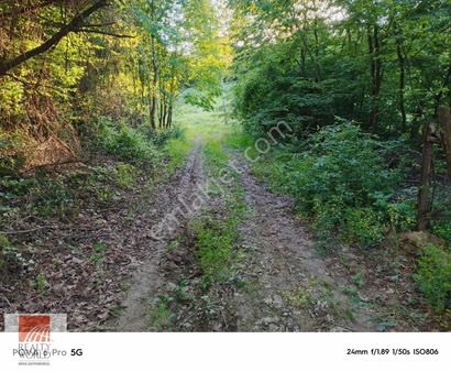 Kartepe Ketenciler Elektrik Su Ve Yollu 2.727 M² Arsa