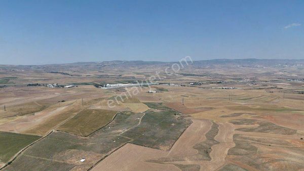 Polatlı Kuşçu Rulman Arkası 40.000 M2 Tek Tapu Satılık Tarla