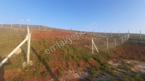 Güvenay - Çorum Osmancık Yolu Üzeri Sarmaşa Mevki Satılık Hobi Bahçesi