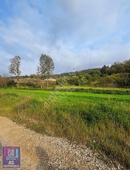 Kestel' De Fırsat Tarla !