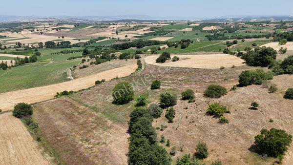 Akbıyık’ta 48 Mt Yola Cephelı Satılık Tarla Remax Mavı Den