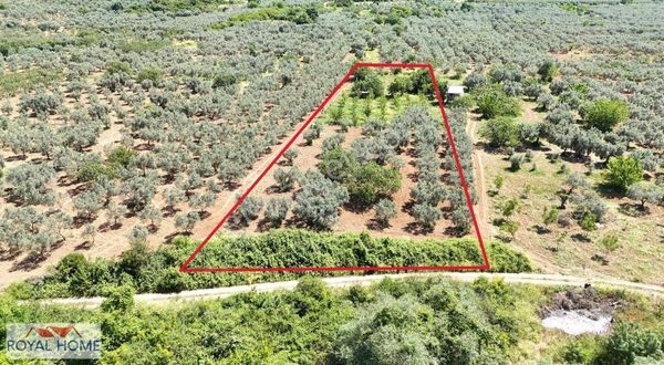 Nilüfer Sınırında Fadıllı Ve Akçalar Sonrası Akçapınarda Yatırım