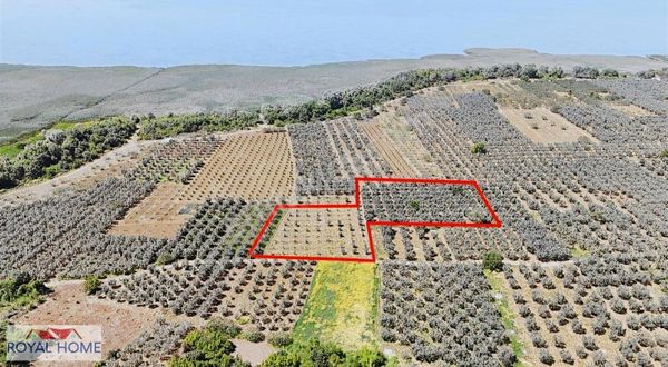 Mustafakemalpaşa'nın En Gözde Köyü Akçapınarda Yatırımlık Yer