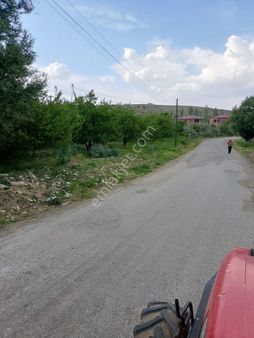 Wisrem Den Kahramanmaraş Göksun Ericek Te 13 Dönüm Satılık Bahçe