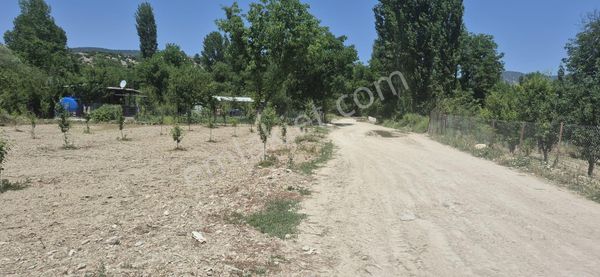 Antalya Korkuteli Süleklerde Tarla