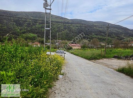 Sarıışık'ta Satılık Tarla - Ev Yapımına Uygun, Yola Sıfır