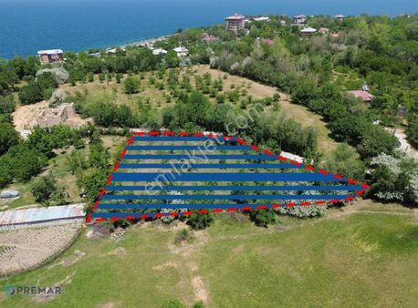Edremit Eskicami'de Anayola 240m-0,30 Emsal-2005 M² Satılık Arsa