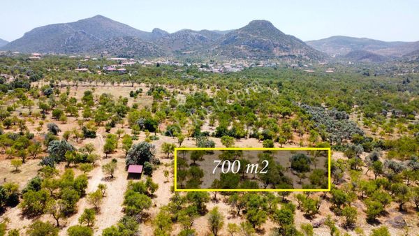 Datça Ela Emlak'tan Yazı Mahallesinde Satılık 700 M2 Bademlik