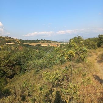 Bursa Yenişehir Koyunhisar Köyünde 7500 M2 Tarla Satılıktır.