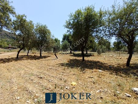 Joker: Marmaris Söğüt Denize 500 Metre Yürüme Mesafesinde Satılık