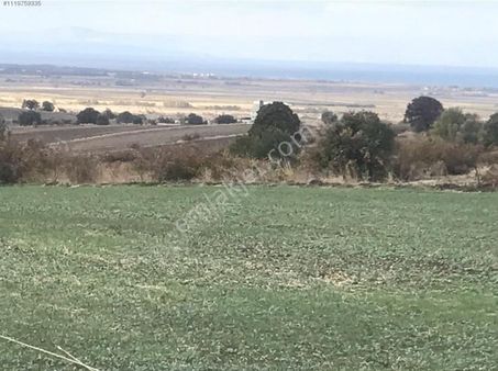 Çanakkale Biga Koruoba Da Deniz Manzaralı Kelepir 9 715 M2 Müstakil Tapulu Verimli Arazi Satılık