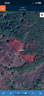 Balıklesir- Kepsut- Yaylabaşı Nda 3269 M² Doğa İçi Tarla