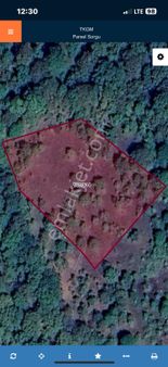 Balıklesir- Kepsut- Örencik Mahallesinde 3569 M² Doğa İçi Tarla