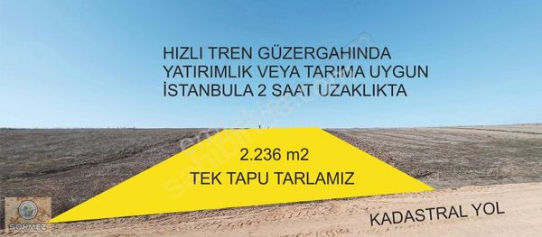 Kırklareli Babaeski Ağayerinde Tek Tapu Yola Cephe Tarla