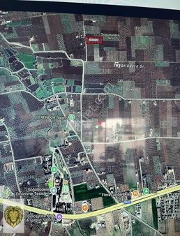 Uçar Emlak Tan Satılık Bağ Evlik Ve Tonluk Zeytinlik