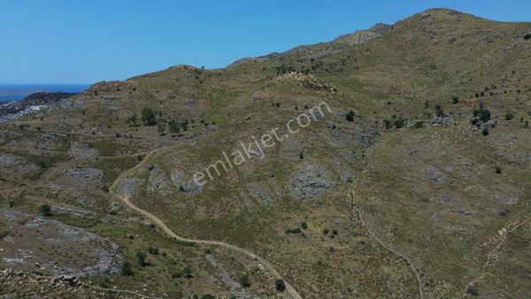 Bodrum Dereköy'de Yatırım Değeri Yüksek Tarla