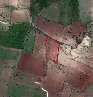 Kirlialıcı Da 7100 M2 Tek Tapu Fıstıklık