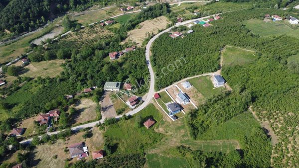 Remax Palas'tan Kaynaşlı Darıyerihasanbey Köyü Satılık Arsa