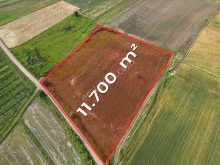 Biga’da Yatırımlık Fırsat! 11.700 M² Kadastrol Yol Cepheli Tarla