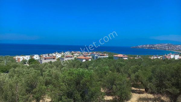 Gömeç Dalış Köyü Karşısı Panoramik Deniz Manzaralı 3+1 Villa
