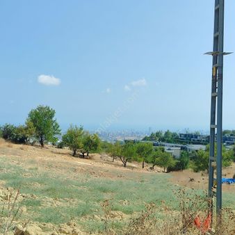 Mesut Emlak'tan Buluklu Da Satılık İmarlı Arsa