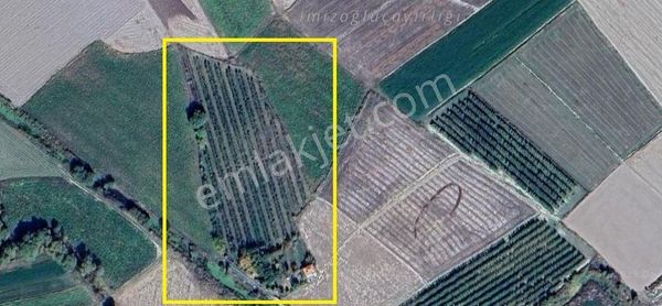 Yahyalı İlyaslıda 8.100m2 Arsa İçinde Satılık 1+1 Dublex Ev