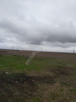 Satılık Çiftlik Tekirdağ Marmaraereğlisi Türkmenli Köyü