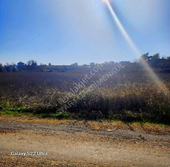 Yatırımlık Kupon Yer