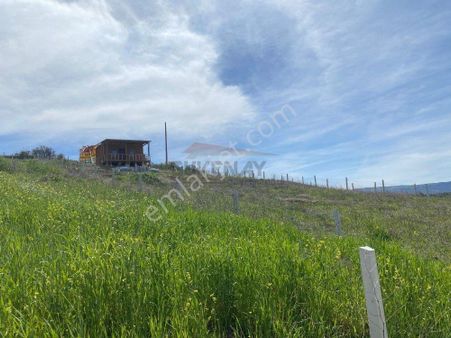 Güvenay - Çorum Osmancık Yolu 7,795 M² Bakımlı Satılık Çiftlik