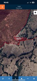 Balıklesir- Kepsut- Kayaeli Mahallesinde 1779 M² Doğa İçi; Devlet Ormanına Sınır Tarla