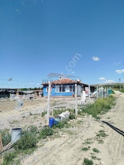 Güvenay - Çorum Üyük Köyü Satılık İçerisinde 3+1 Evi Olan Tarla