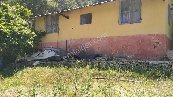 Yaylaların Yaylası Ekizce