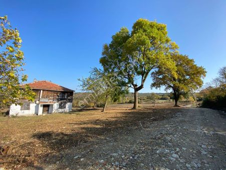 Sinop Erfelek Yeniçam Köyünde Konut İmarlı Atalay Emlaktan Satılık Arsa