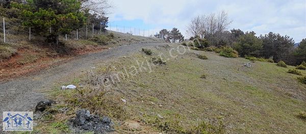 Pamukova Çilekli Resmi Yol Su 2137 M2 Manzaralı Tarla