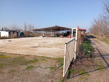 Satılık Besi Çiftliği Bergama Dündarlı Mahallesi