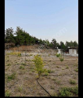 Topaktaş Satılık 1.155 M2 Cazip Fırsat Uygun Arsa