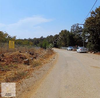 Fem Emlak ' Tan İnegöl Bayramşah 9300 M2 Lokasyonu Mükemmel