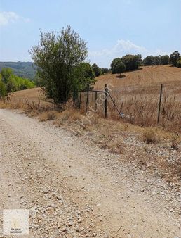 Fem Emlak' Tan İnegöl Tekke Köyde Baraj Yoluna Cepheli Arazi