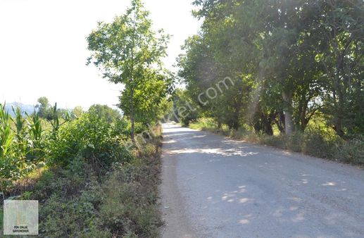 İnegöl Küçükyenice Çitlik Asfalt Yoluna Cepheli Tarla