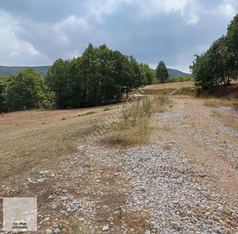 Fem Emlak'tan İnegöl Tekke Köyde 8139 M2 Arazi