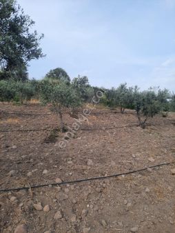 Satılık Müstakiltapu