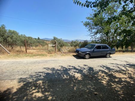 Akar Emlaktan Satılık Kupon Zeytinlik