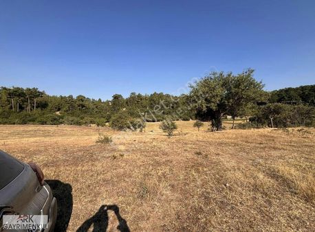 Asfalt Yol Kenarı Denize 1 Saat 7.450m2 Satılık Tarla