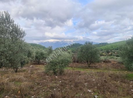 Gokben Mh. 834 M2 Satılık Tarla.