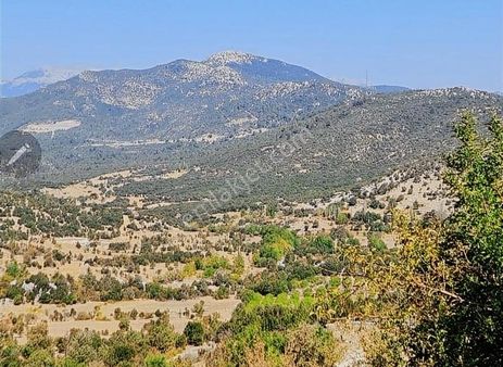 Bayir Mh.16380 M2 Satılık Tarla.