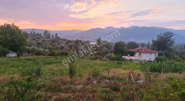 Sahil Ceylanda 900 M2 Satılık Tarla.