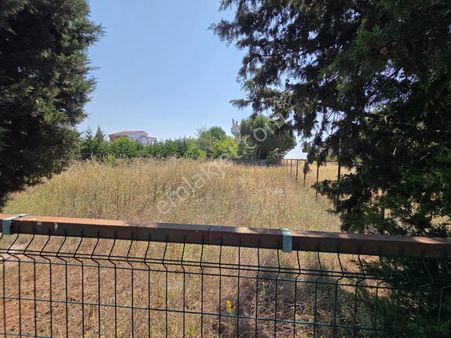 Haydar Emlaktan Yenicede445 M2 Müstakil Tel Çevrili Arsa