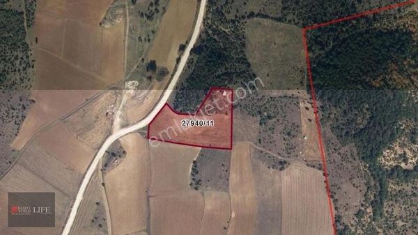 Rw Lıfe // Eskişehir Çalkara / Satılık Tarla